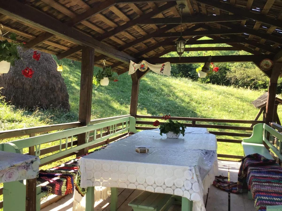 Villa Casa Dunca Sighetu Marmaţiei Exterior foto