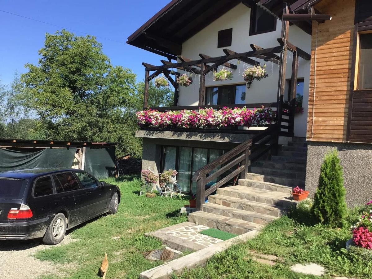 Villa Casa Dunca Sighetu Marmaţiei Exterior foto