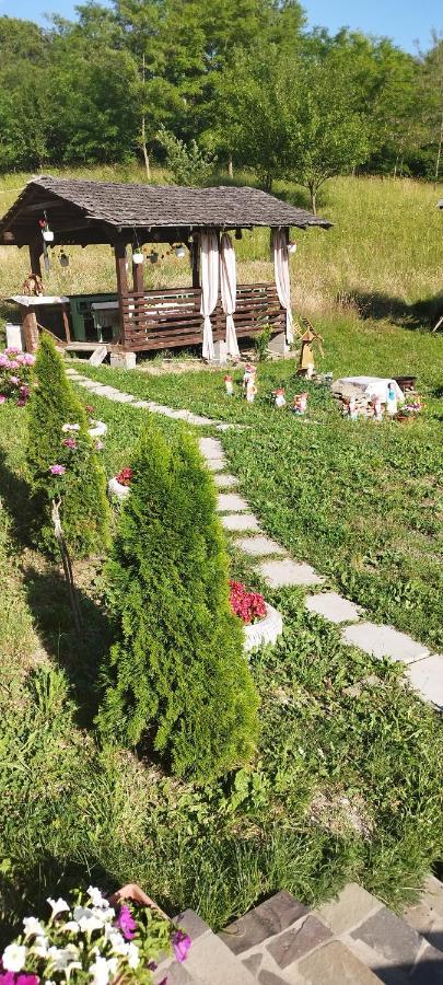 Villa Casa Dunca Sighetu Marmaţiei Exterior foto